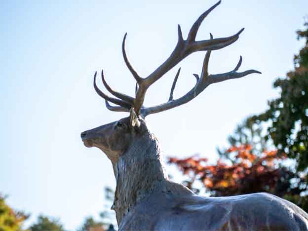 stag statue with sky in the background