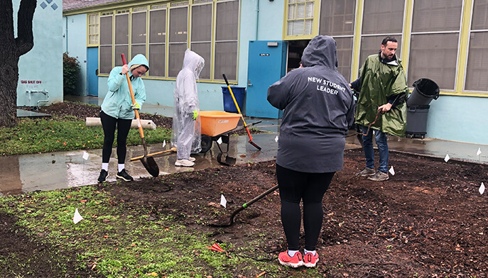 Individuals wearing raincoats and hoodies actively gardening, with plants and soil visible in a wet environment.